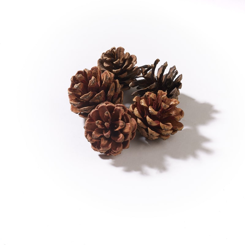 Flametek Firebed Media - Pine Cones